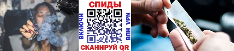 как найти   дарк нет формула  Бутират 1.4BDO  Губаха 