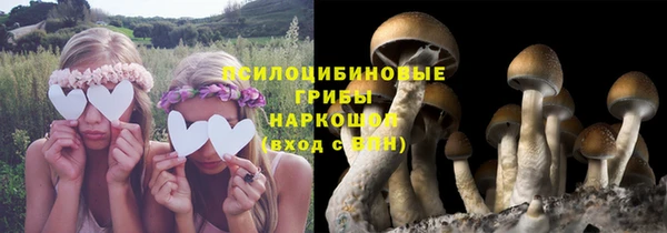 таблы Саяногорск