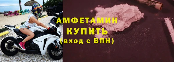 шишки Гусиноозёрск