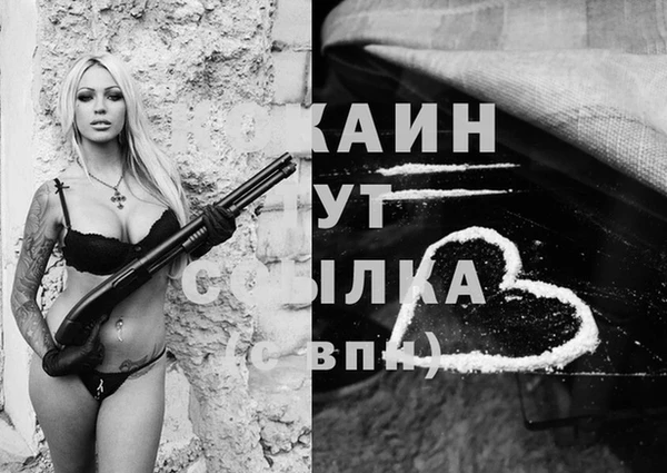 стафф Семикаракорск