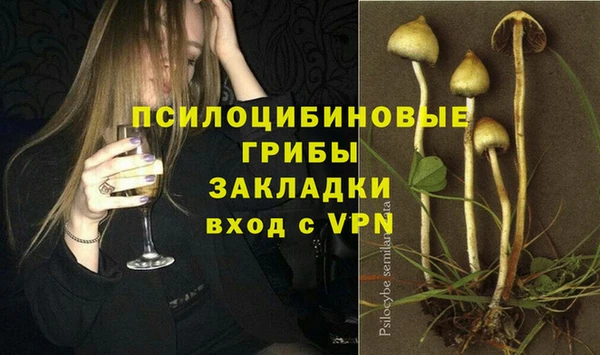 шишки Гусиноозёрск