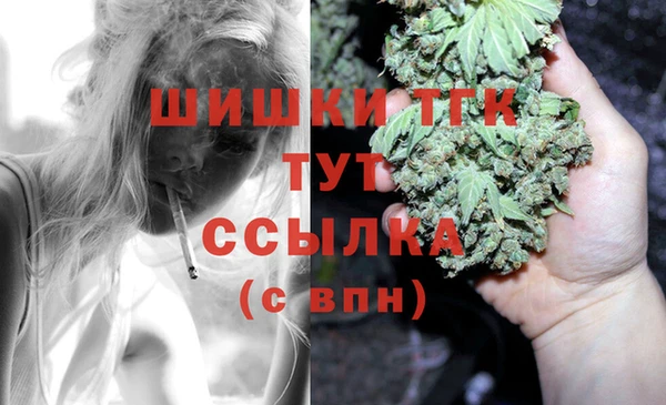 стафф Семикаракорск