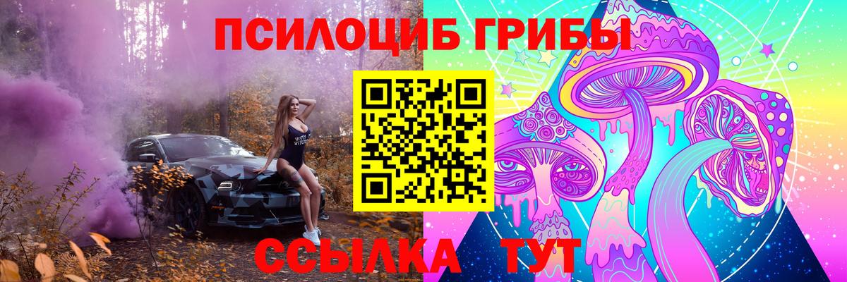 Галлюциногенные грибы MAGIC MUSHROOMS Губаха