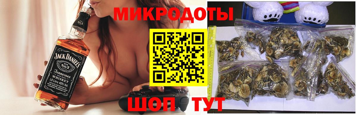 Псилоцибиновые грибы Psilocybine cubensis  Галлюциногенные грибы Psilocybe  Губаха 