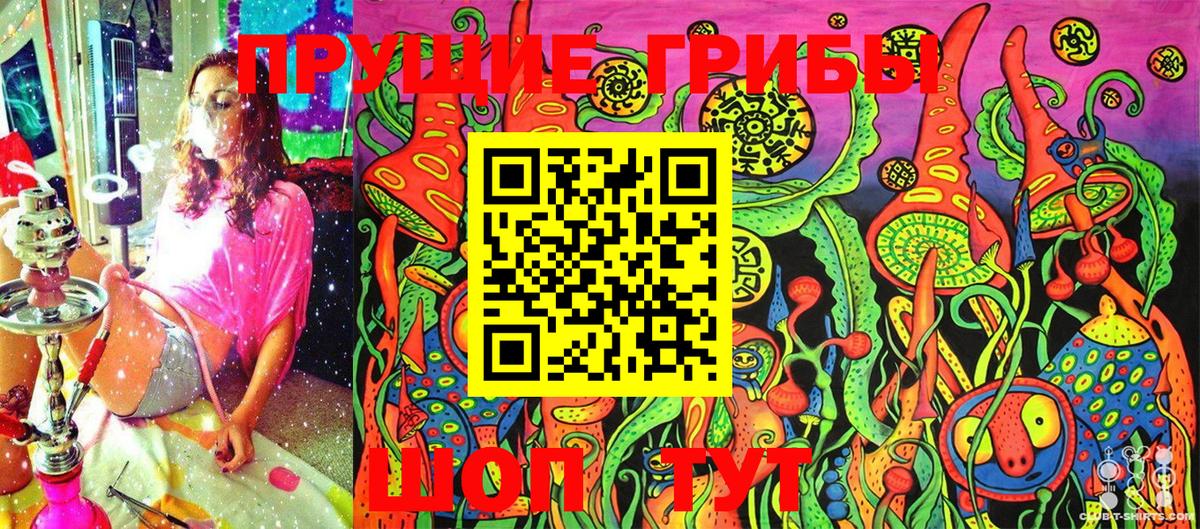 Губаха  Галлюциногенные грибы прущие грибы  Вход с VPN  Псилоцибиновые грибы ЛСД 