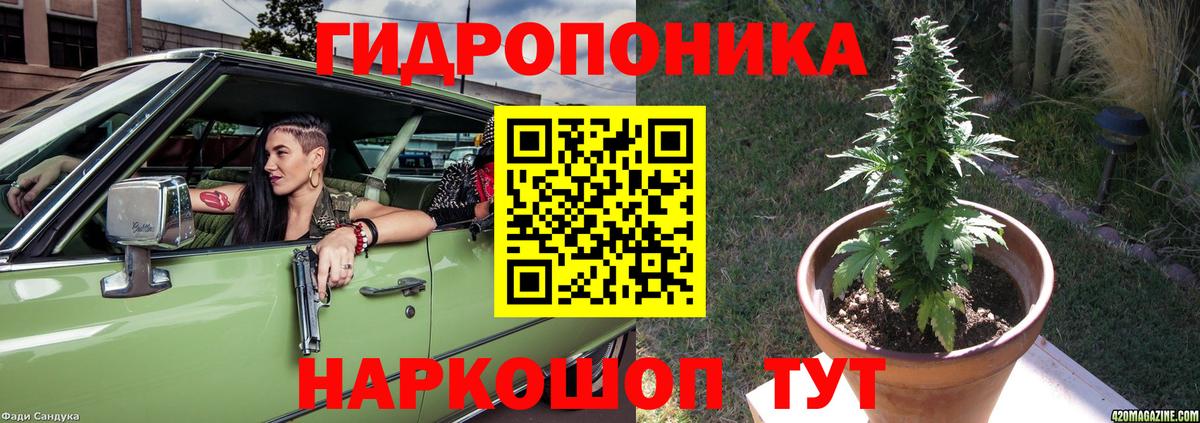 Каннабис марихуана  Каннабис White Widow  Вход с VPN  Губаха 